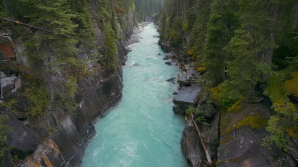 Řeka Kootenay Protéká Skalistými Horami Zpomalený Pohyb — Stock video