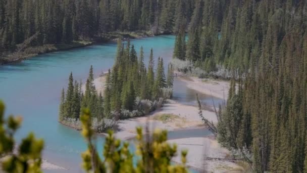 カナダのバンフ国立公園のボウ川のターコイズ水 スローモーション — ストック動画