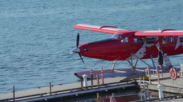 Ванкувер Канада Вересня 2023 Морський Літак Авіакомпанії Harbour Air Приземлився — стокове відео
