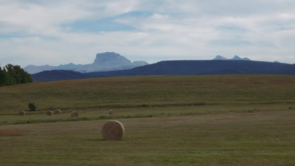 Проїжджаючи Полях Повних Тюків Сіна Південній Альберті Повільний Рух — стокове відео