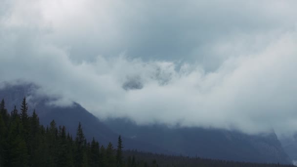 低い雲で覆われたロッキー山を駆け抜ける スローモーション — ストック動画