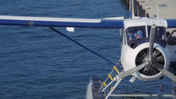 Vancouver Kanada September 2023 Pilot Des Harbour Air Seeflugzeugs Bereitet — Stockvideo
