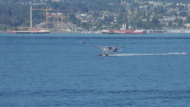 Vancouver Canadá Septiembre 2023 Hidroavión Harbour Air Desliza Sobre Una — Vídeos de Stock