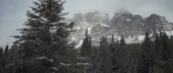 冬のカナダのロッキーズの城山の雪の山 スローモーション — ストック動画