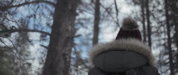 Kış Ormanında Yürüyüş Yapan Bir Kadının Manzarasının Ardında Yavaş Çekim Stok Video