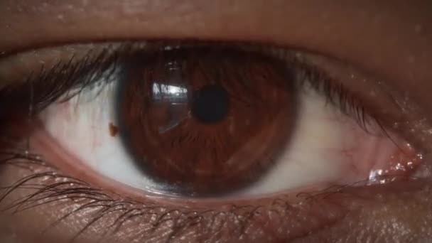 Makro Kahverengi Gözün Açılışını Kapat Yavaş Çekim Telifsiz Stok Çekim