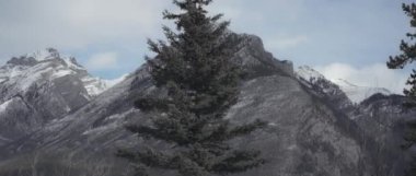 Kışın Kanada Rocky Dağları 'ndan geçmek. Yavaş çekim. 