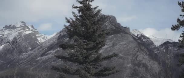 冬季驾车穿越加拿大落基山脉 慢动作 — 图库视频影像