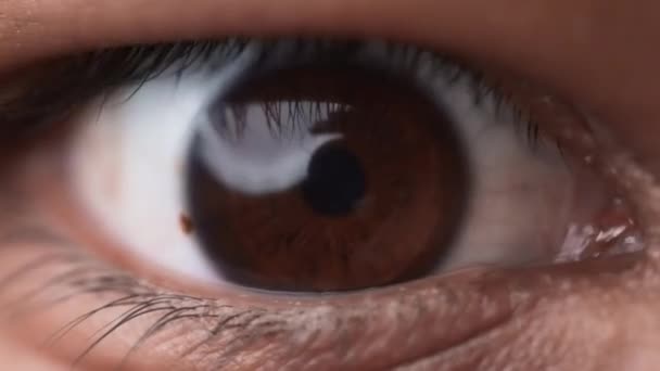 Tutup Mata Coklatnya Dan Lihat Kamera Makro Gerakan Lambat — Stok Video