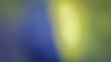 Mavi ve sarı simli parçacıklar yavaş çekimde patlıyorlar.. 