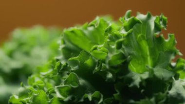 Turuncu arka planda yeşil marul yaprakları. Beslenme ve sağlıklı beslenme konsepti. Yavaş çekim. 