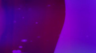 Mor lav kabarcıkları değişken arkaplanda sıvı olarak akıyor. Yavaş çekim.