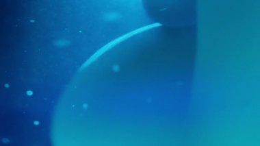 Mavi şekil değiştiren kabarcıklar, değişken arkaplana karşı sıvı içinde akıyor. Yavaş çekim.