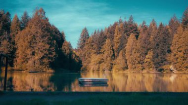 Sonbahar renklerinde ağaçlarla çevrili küçük bir gölet. Yavaş çekim. 