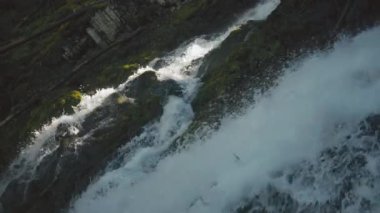 Çam ormanındaki yosunlu uçurumdan düşen şelale. Yavaş çekim.