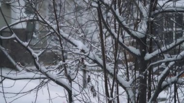 Kışın banliyö mahallesine kar yağıyor. Yavaş çekim.