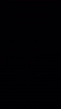 Bir sürü soyut renkli ışık sızıntısı ve gökkuşağı cam prizması. Dikey Biçim.