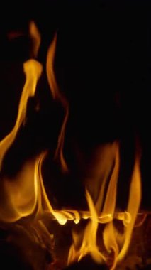 Ateş çukurunun alevleri odunların etrafında yavaşça yanıyor. Dikey Biçim.