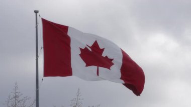 Kanada bayrağı bulutlu gökyüzüne karşı rüzgarda dalgalanıyor. Yavaş çekim.