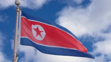 Bulutlu gökyüzüne karşı rüzgarda dalgalanan Belçika bayrağı. Yavaş çekim.