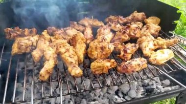 Izgara videoda ızgara tavuk eti var. Doğadaki barbekü partisi..