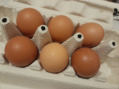 Yumurta kutusundaki taze yumurtalar. Boş alanı olan kahverengi yumurtalar.  