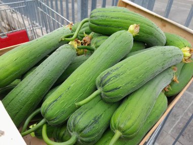 Tahta sepetin içinde sünger kabağı sebzeleri. Sağlıklı, çiğ besin süngeri. Çin sünger kabağı sebzesi.. 