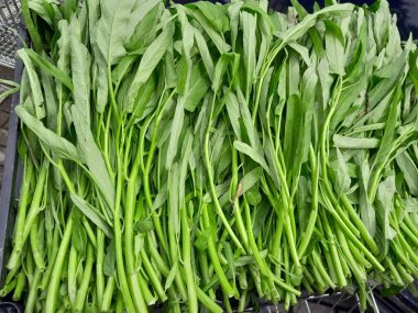 Su ıspanağı yeşili sebze. Kangkung sağlıklı besleyici sebze yemeği. Ipomoea aquatica bir yarı su bitkisidir. Çin kangkung 'u veya Çin ıspanağı. 