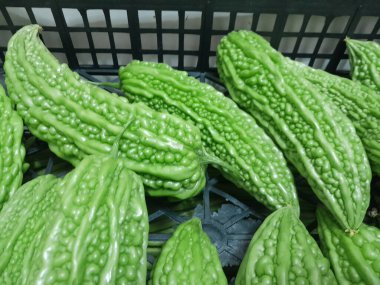 Çin acı kavunu sebzesi. Sağlıklı besleyici çiğ yemek, sert kavun. Çin yeşil kavunu sebzesi.. 