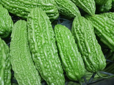 Çin acı kavunu sebzesi. Sağlıklı besleyici çiğ yemek, sert kavun. Çin yeşil kavunu sebzesi.. 