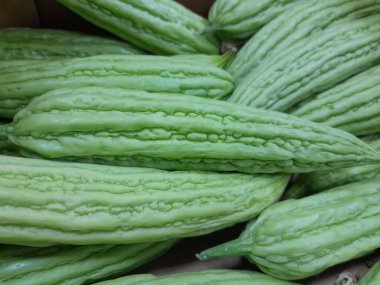 Çin acı kavunu sebzesi. Sağlıklı besleyici çiğ yemek, sert kavun. Çin küçük kavunu..