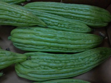 Çin acı kavunu sebzesi. Sağlıklı besleyici çiğ yemek, sert kavun. Çin küçük kavunu..