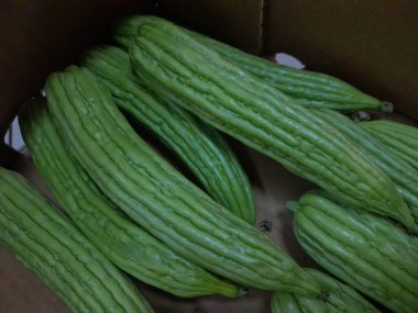 Çin acı kavunu sebzesi. Sağlıklı besleyici çiğ yemek, sert kavun. Çin küçük kavunu..