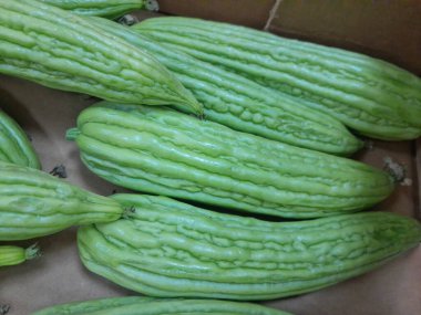 Çin acı kavunu sebzesi. Sağlıklı besleyici çiğ yemek, sert kavun. Çin küçük kavunu..