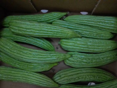 Çin acı kavunu sebzesi. Sağlıklı besleyici çiğ yemek, sert kavun. Çin küçük kavunu..