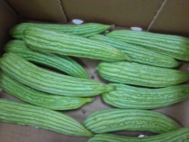 Çin acı kavunu sebzesi. Sağlıklı besleyici çiğ yemek, sert kavun. Çin küçük kavunu..