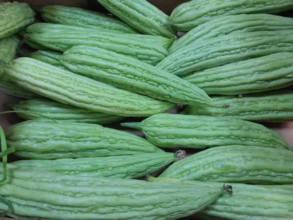 Çin acı kavunu sebzesi. Sağlıklı besleyici çiğ yemek, sert kavun. Çin küçük kavunu..