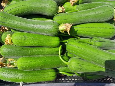 Sünger kabak sebzesi. Sağlıklı, çiğ besin süngeri. Çin sünger kabağı sebzesi.. 