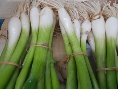 Taze soğan ya da taze soğan yaprakları çiğ sebze salatası. Mutfak sebzesi yeşil soğan