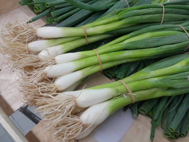 Taze soğan ya da taze soğan yaprakları çiğ sebze salatası. Mutfak sebzesi yeşil soğan