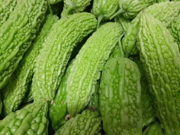 İzole edilmiş arka planda acı kavun sebzeleri. Sağlıklı besleyici çiğ yiyecekler acı kavun sebzeleri. Sağlıklı beslenme, vitaminler.