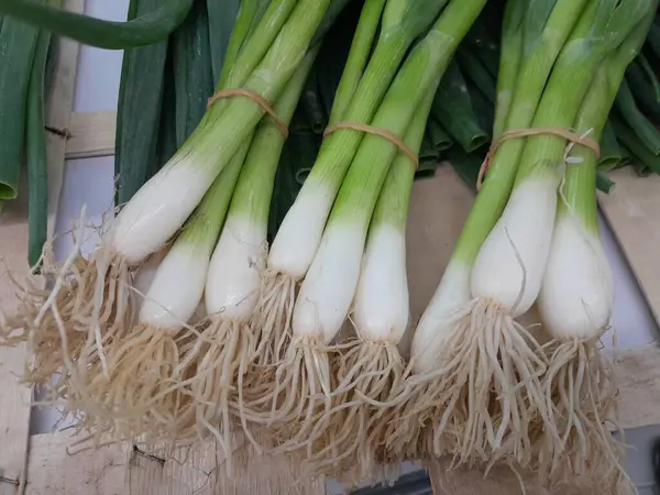 Taze soğan ya da taze soğan yaprakları çiğ sebze salatası. Mutfak sebzesi yeşil soğan