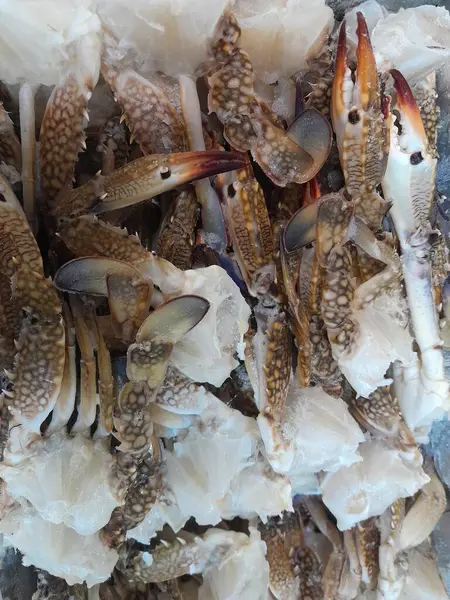 Bir süpermarkette Chesapeake mavi yengeci. Chesapeake Mavi Yengeç Deniz Ürünleri.