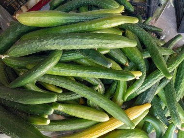 Çin yeşili, uzun salatalık sebzeleri. Yeşil uzun salatalık.  