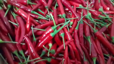 Kırmızı biberli, sebze pişirme videosu. En sıcak kırmızı biber arkaplanı izole edildi. 