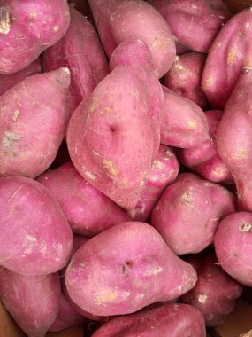 Mor tenli beyaz tatlı patates. Japon usulü tatlı patates. Tatlı patates kökü taze yiyecek.. 