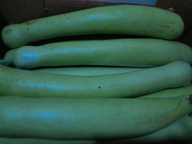 Uzun şişe kabağı sebzesi. Çin uzun kabağı, çiğ sebze.. 