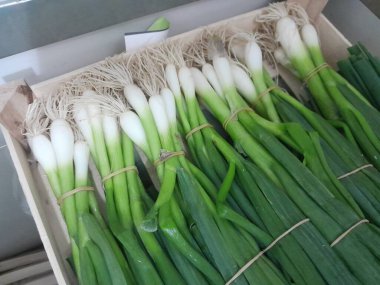 Taze soğan, sebze yemeği. Yeşil soğanlar taze sebzeler 