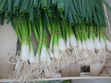 Taze soğan, sebze yemeği. Yeşil soğanlar taze sebzeler 