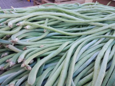 Otuz metrelik sebzeler. Uzun fasulye sebzeleri. Sağlıklı besin sebzesi.  